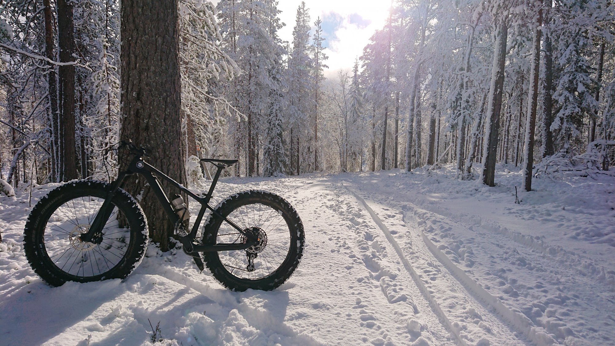 fatbike