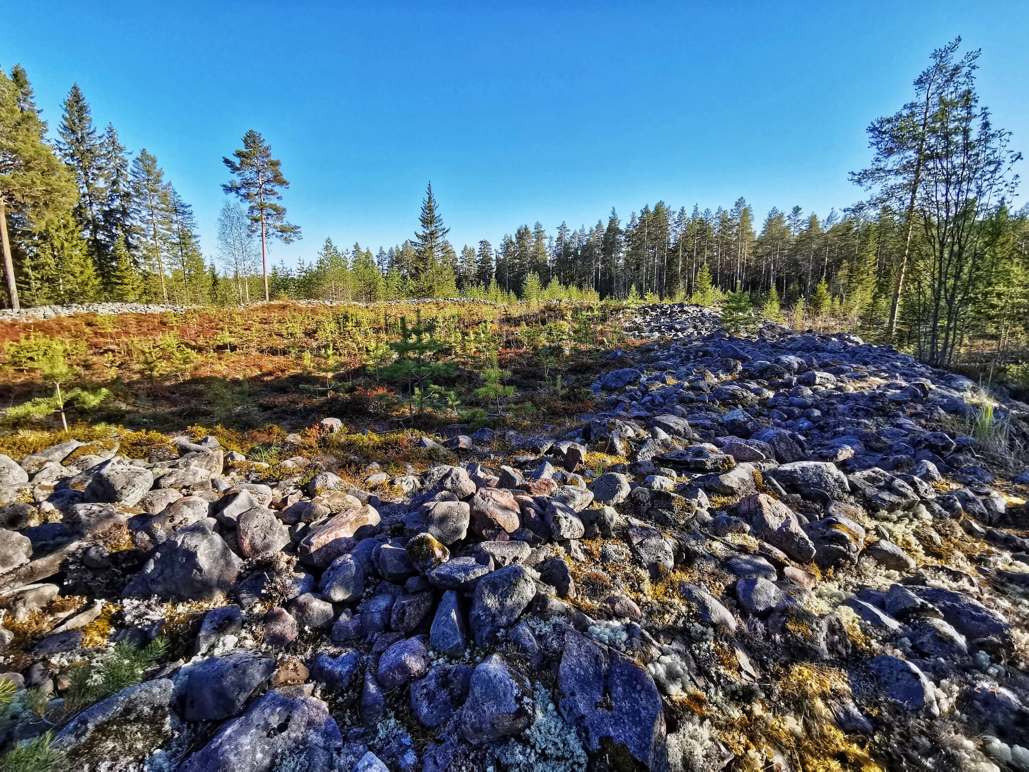 Kastellin jätinkirkko Raahessa.