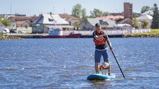 A person paddlepoarding with a dog