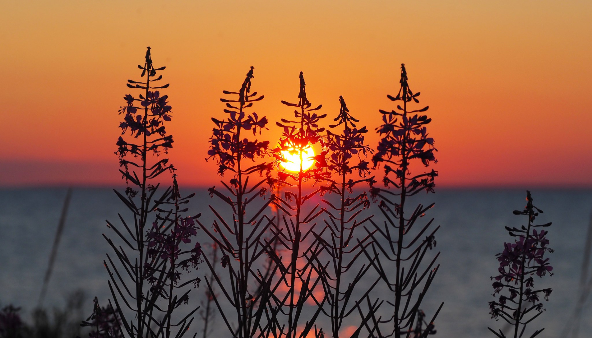 Sunrise by the sea